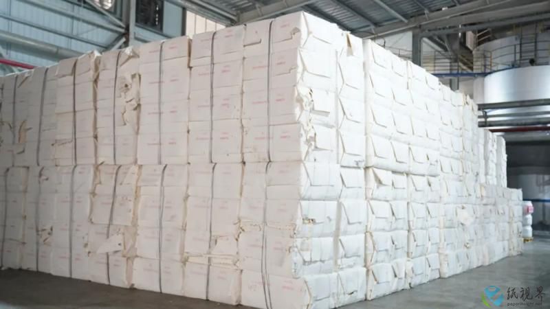 中国-东盟生活用纸产业园区已初具规模,年产100万吨纸和浆